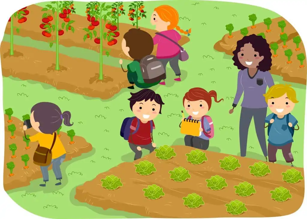 farm workshop level 2 | pre k to 5th grade