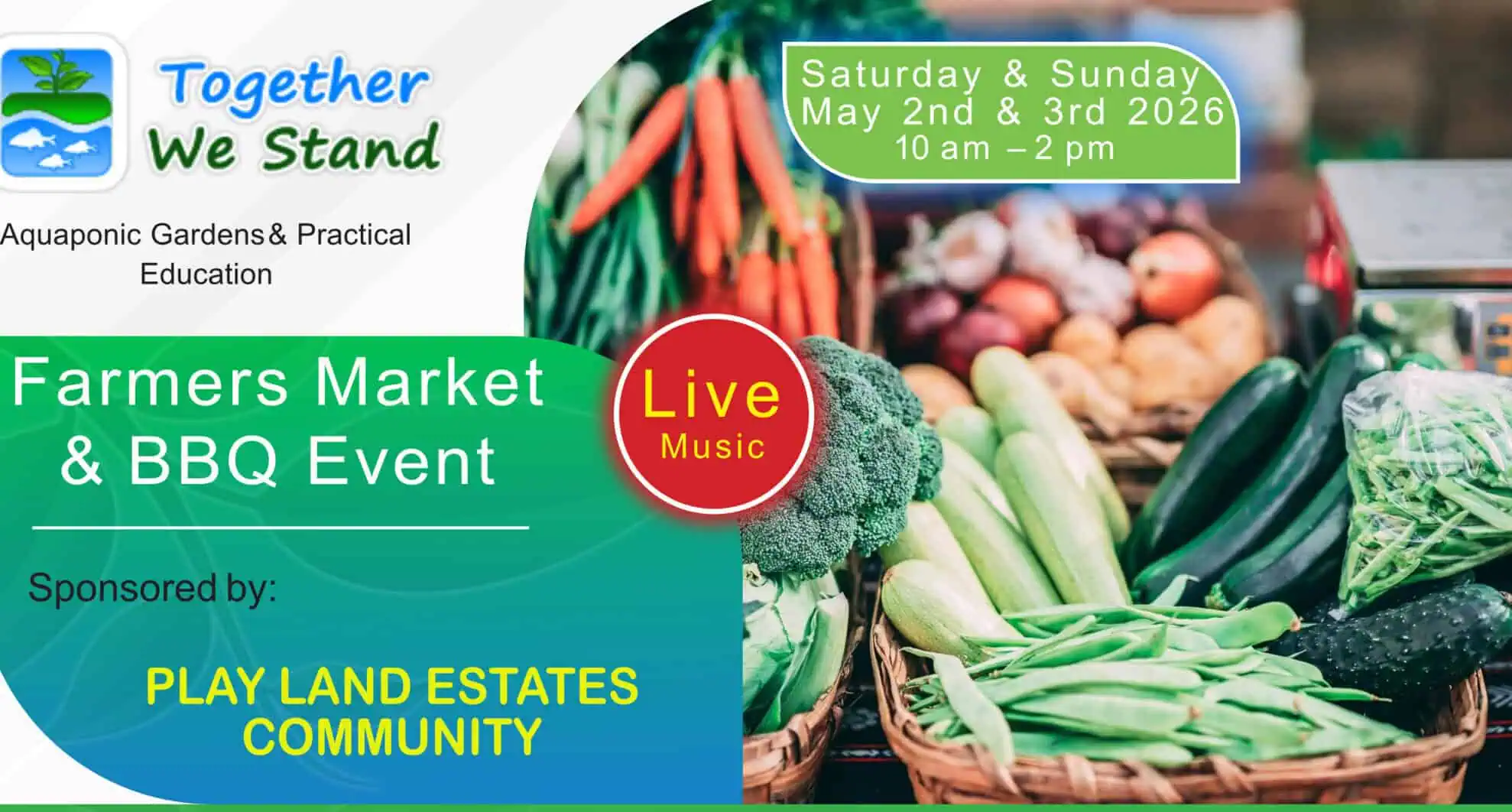 single side flyer 8.5 by 11 us letter size